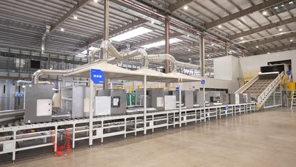 數(shù)字領航 中國制造轉(zhuǎn)型的新“燈塔”——聚焦家用電器行業(yè)