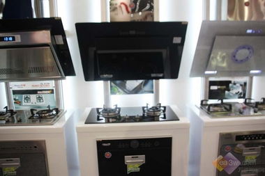 2010順德家電展 華強集團全系家用電器閃耀登場